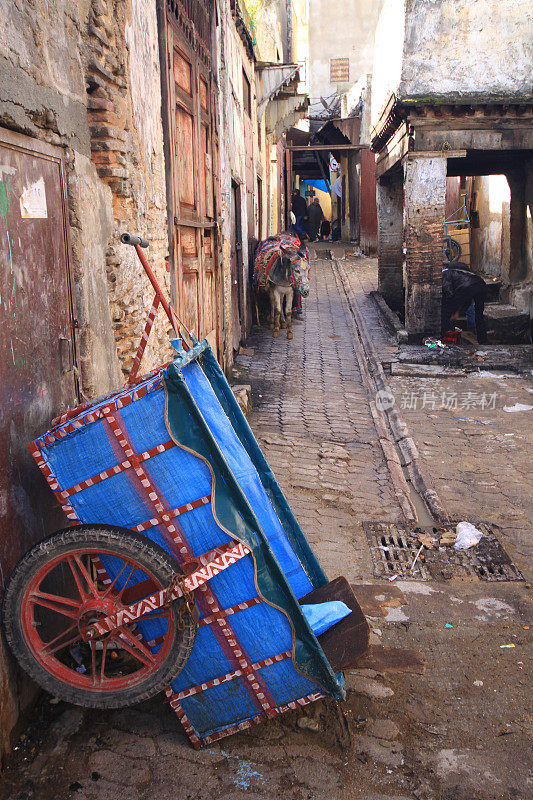 Fes el Bali，非斯的麦地那